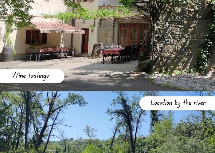 Bordon Wines, Estate With Accommodation