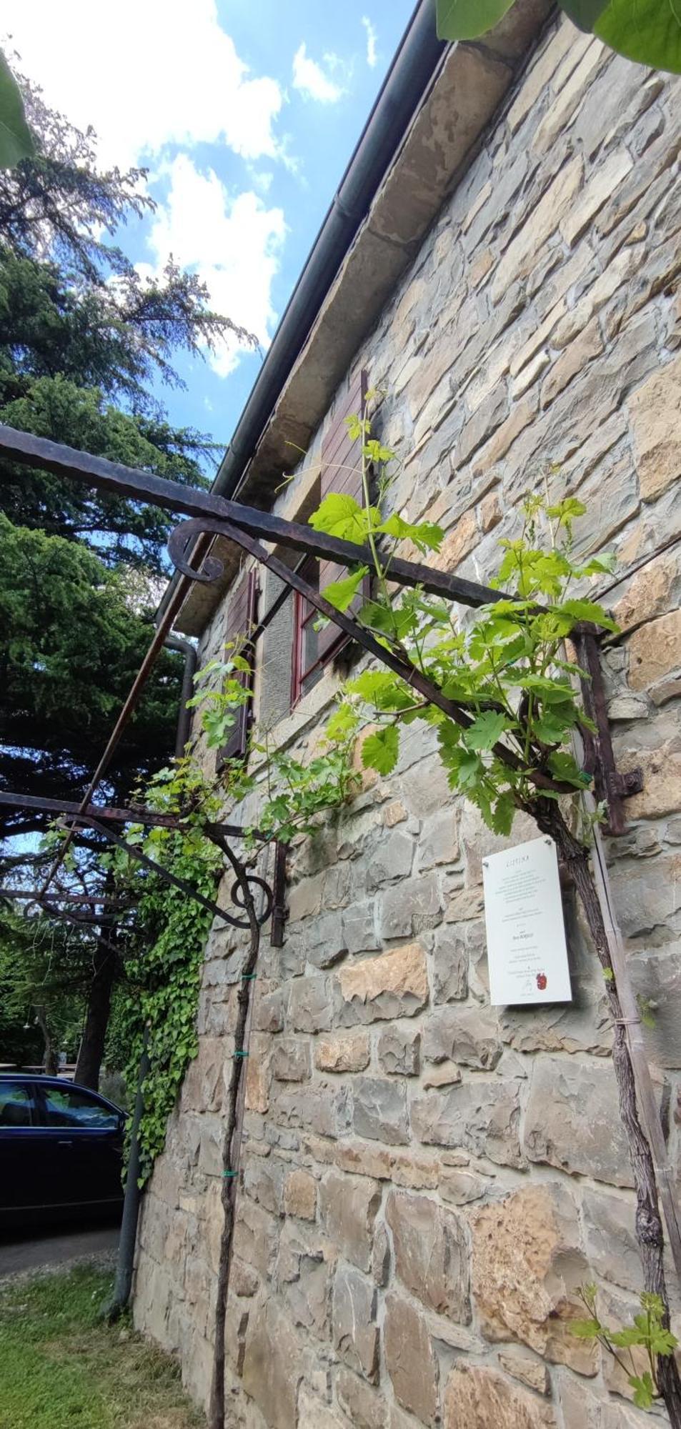 Apartment Bordon Wines, Estate With Dekani