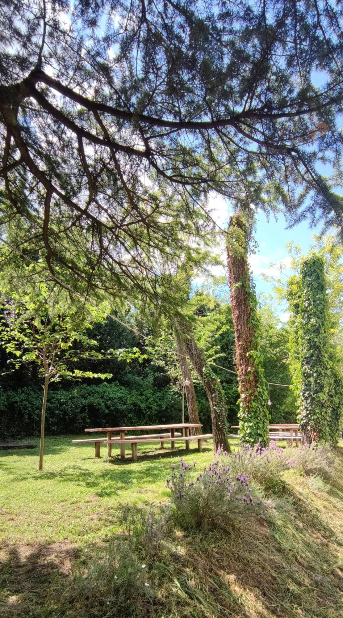 Bordon Wines, Estate With
